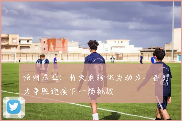 帕利尼亚：将失利转化为动力，奋力争胜迎接下一场挑战
